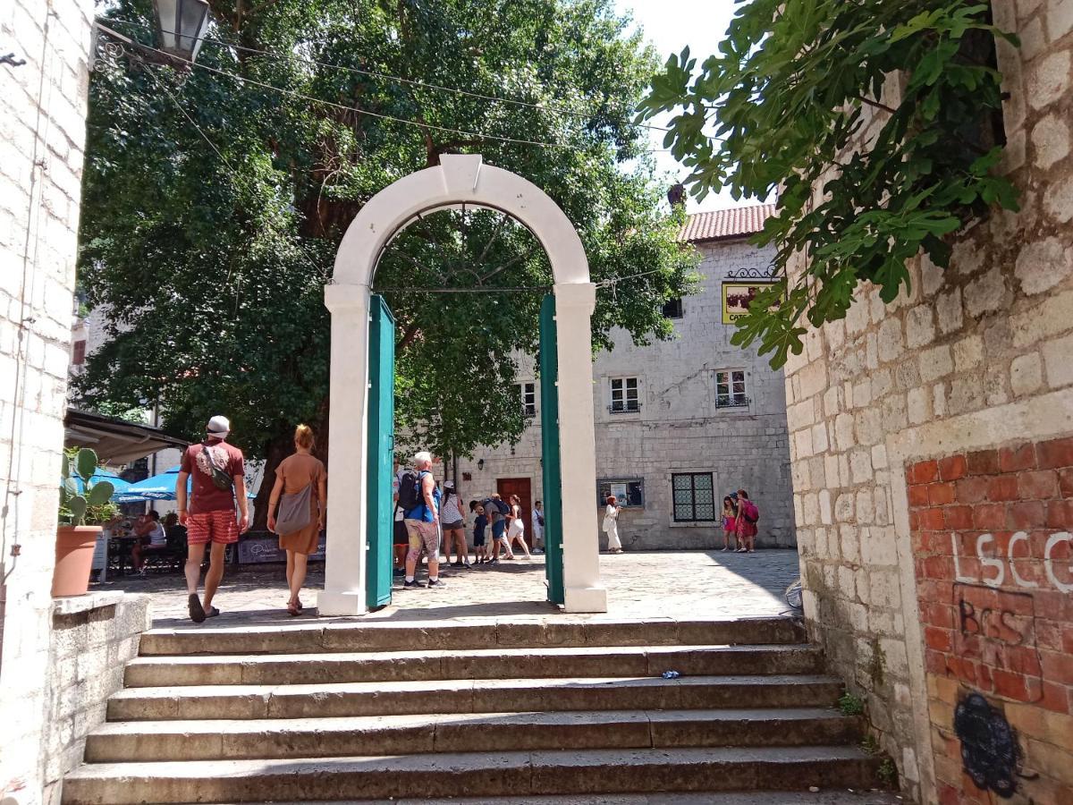 דירות קוטור Centar Starog Grada מראה חיצוני תמונה